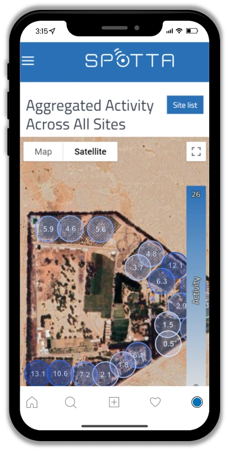 Mobile Application Interface